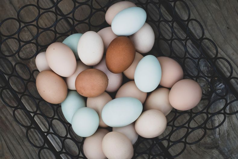 Argentina es el país con el consumo per cápita de huevos más alto del mundo. Argentina es el país con el consumo per cápita de huevos más alto del mundo.