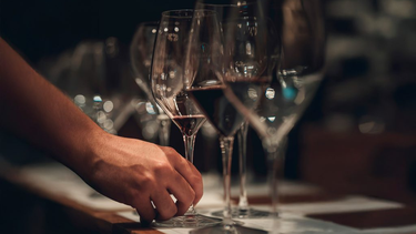Cata guiada de vinos en Tupungato.