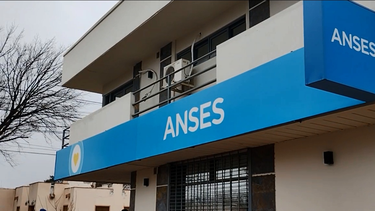 Cuándo cobro AUH ANSES en noviembre: chequeá con DNI.