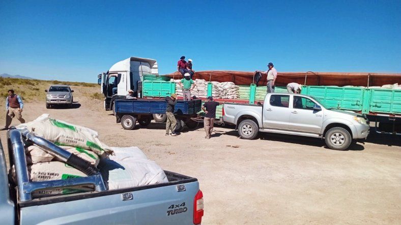 San Rafael refuerza la asistencia a crianceros con forraje y trabajos viales en áreas rurales