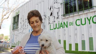 Sitio Andino | La veterinaria móvil de luján