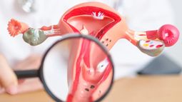 Este 26 de marzo se celebró el Día Mundial de la Prevención de Cáncer de Cuello Uterino (Foto gentileza).