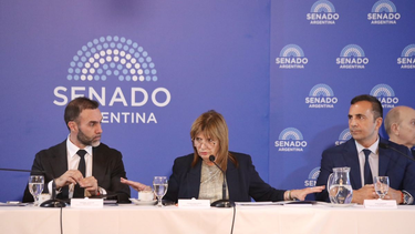 Patricia Bullrich debió postergar el envió de la Reforma Laboral al pleno del Senado. Patricia Bullrich debió postergar el envió de la Reforma Laboral al pleno del Senado.