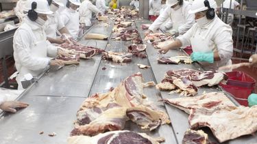 Juan Luis Ucelli en Aconcagua Radio: En Mendoza hay mercado de cerdo, pero falta organización