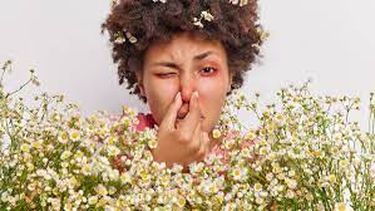 Alergias en aumento: cuántos argentinos padecen esta enfermedad de primavera. Alergias en aumento: cuántos argentinos padecen esta enfermedad de primavera.