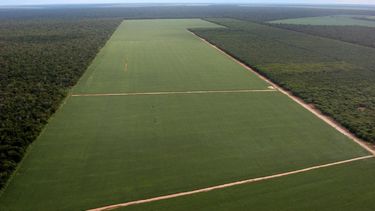 ONU pide trabajar menos para salvar el medioambiente