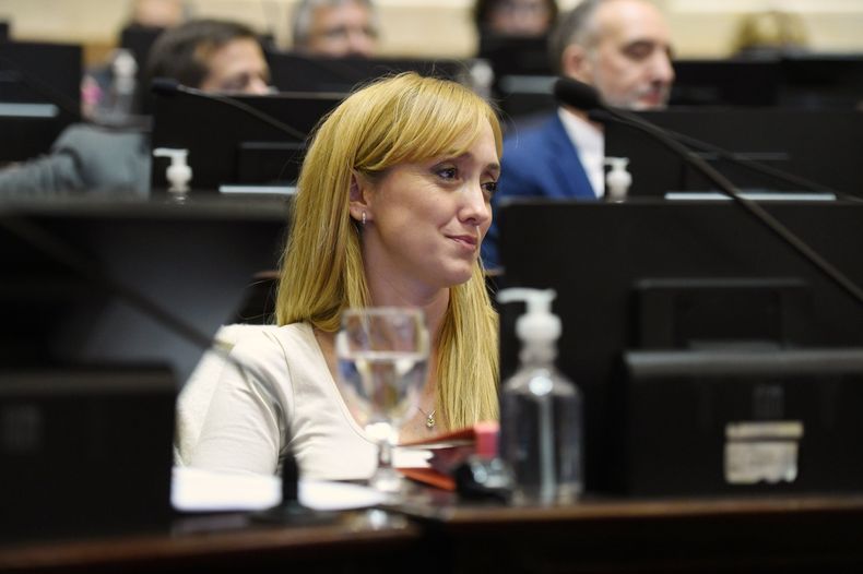 Anabel Fernández Sagasti votará a favor del Alcohol Cero.