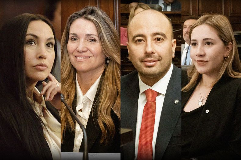 Las nuevas caras que asoman en la Legislatura de Mendoza.