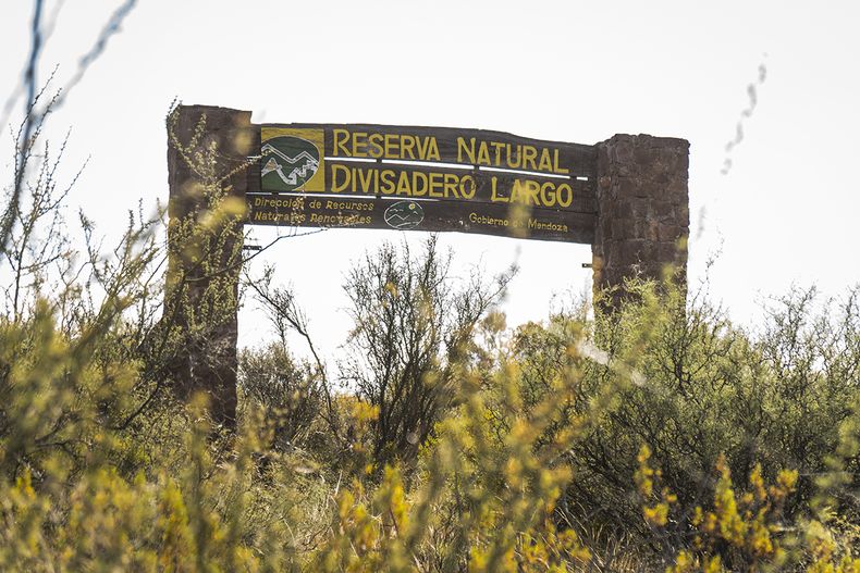 La iniciativa tiene como objetivo fortalecer el vínculo de los estudiantes con la naturaleza.