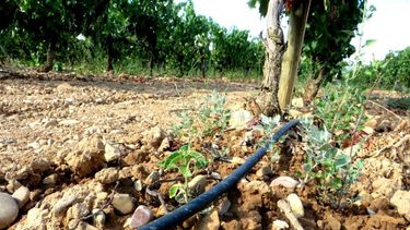 Riego Agrícola: Aciar admitió que el tarifazo es del 250%