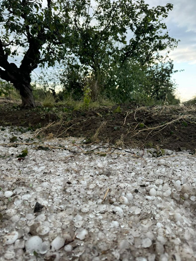 granizo SR 2024 03.jpeg