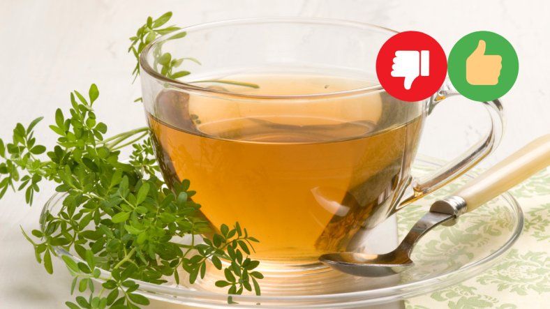 Alertan sobre el uso de la planta de ruda: beneficios y riesgos del té