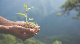 Día de la Tierra: por qué se celebra hoy, 22 de abril