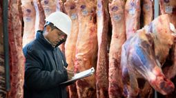 Por la falta de acuerdo sobre los precios internos, el Gobierno suspendió las exportaciones de carne