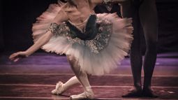 Las primeras figuras de la danza del Teatro Colón llegan al Teatro Independencia.