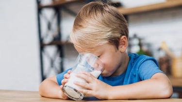 Este 1º de junio se celebra el Día Mundial de la Leche.