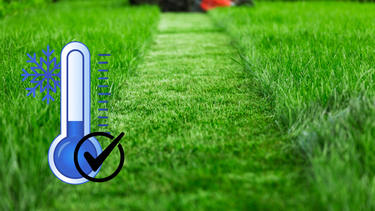 Sitio Andino | césped, jardinería.png