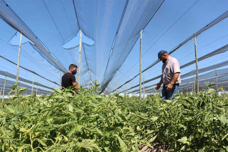 Los productores agrícolas de General Alvear deberán obtener el CBU.