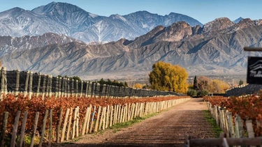 Fin de semana largo en la provincia de Mendoza: vino, montañas y placeres para el paladar
