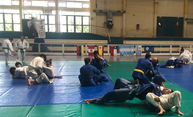 judo 1.jpeg