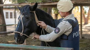Policía Rural realizó un importante operativo de control en Tunuyán.