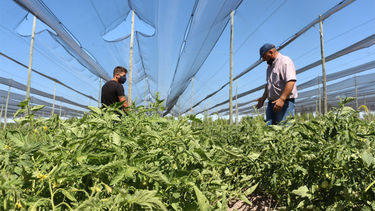 Los productores agrícolas de General Alvear deberán obtener el CBU.