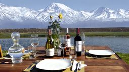 Mendoza en toda su diversidad para turistas: gastronomía, vino, cultura y paisajes Mendoza en toda su diversidad para turistas: gastronomía, vino, cultura y paisajes