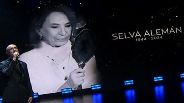 Martín Fierro: las lágrimas de los famosos al recordar a los que ya no están.