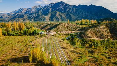 Turismo cannábico: una alternativa que busca expandirse en todo el país