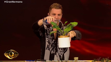 Gran Hermano: quiénes quedaron en la placa planta y el sorpresivo fulminado de la semana
