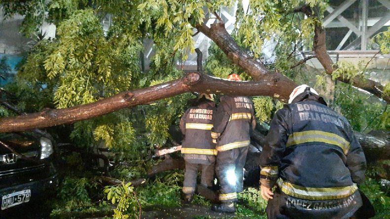 Se registran múltiples problemas de energía en Buenos Aires por el temporal