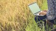 1 de septiembre: Día del Periodista Agropecuario.