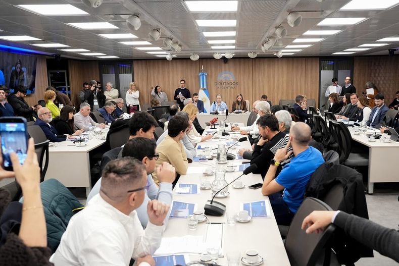 Trabajadores y emprearios llevaron la crisis de la industria al Congreso
