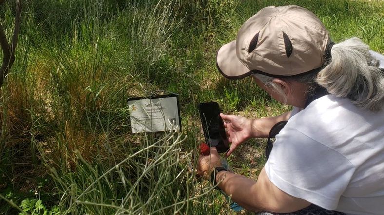 Gestión Nativa, el desafío de recuperar lo nuestro