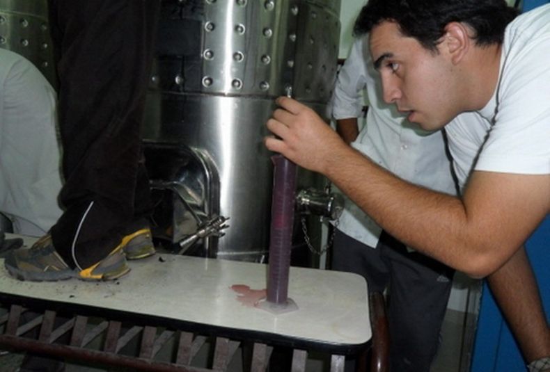 Investigadores de la UNCuyo