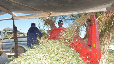 Desde la Municipalidad de Lavalle continúan con el impulso agropecuario