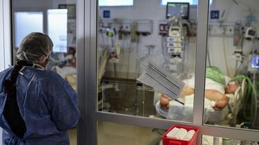 leve pero sostenido aumento de internaciones por covid en hospitales de mendoza