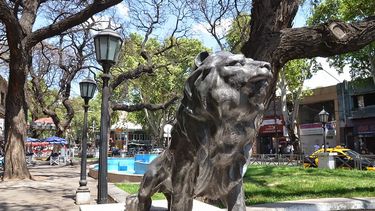 Hace dos años que los leones no están.