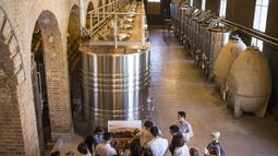 Turismo: nuevas pautas de atención en bodegas, con un diagnóstico al 2021-22