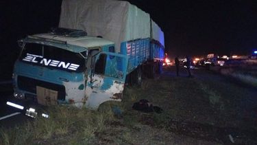 El camión que protagonizó el accidente vial en San Martín. El camión que protagonizó el accidente vial en San Martín.