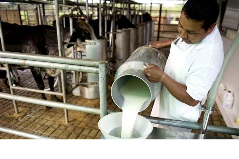 Sin bono ni aumentos el consumo de básicos sigue cayendo.