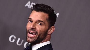 Fue desestimada la denuncia contra&nbsp; Ricky Martin.