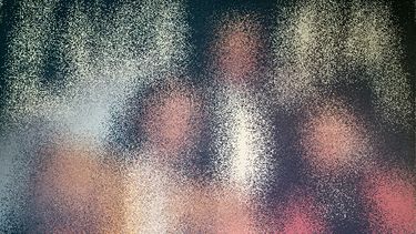 Integraba una agrupación musical muy famosa, se hizo una cirugía y ahora vive en la calle.