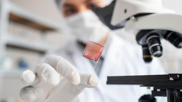 Ambas investigaciones estudian aspectos diferentes del cáncer de mama y buscan responder preguntas fundamentales sobre las células y los mecanismos que influyen en la evolución de la enfermedad.