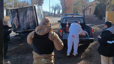 Las Heras: la Policía Rural incautó una gran cantidad de carne en mal estado