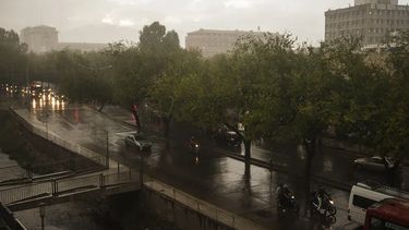 fuerte tormenta en mendoza: inundaciones, cortes, arboles caidos y vendimia suspendida