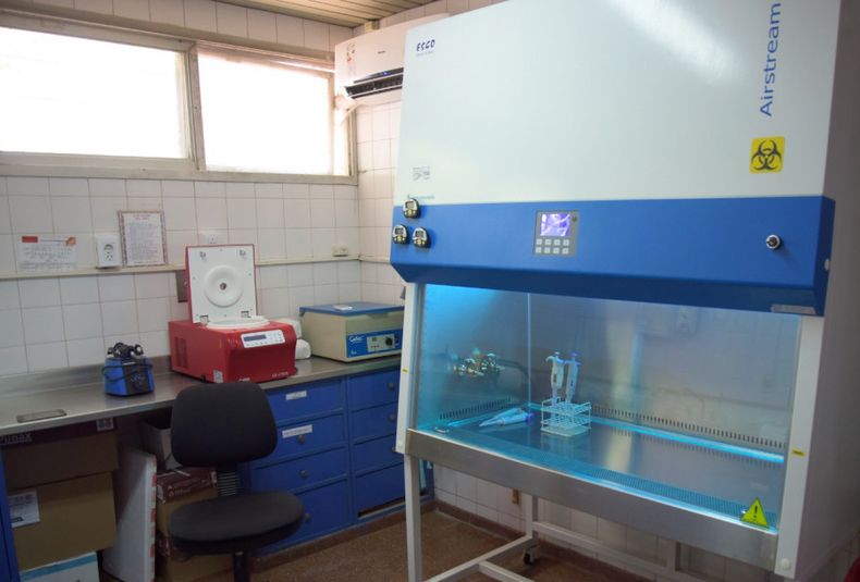Laboratorio, testeos, hospital Scaravelli, Tunuyán, Valle de Uco, covid, coronavirus