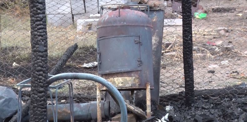 Esta es la salamandra que habría iniciado el incendio fatal en Tunuyán