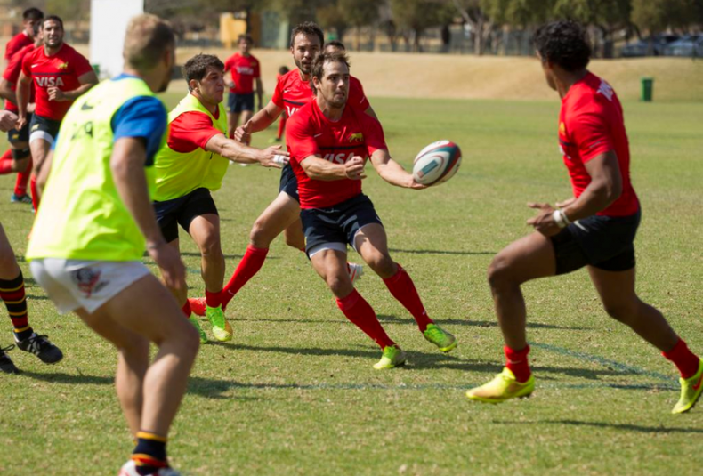 Pumas rugby