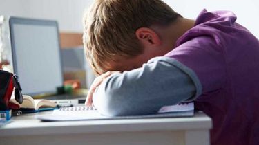 Sitio Andino | Cyberbullying